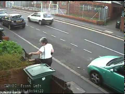 A woman, walking by a primary school, sees a cat, stops, thinks for a moment 