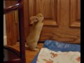 Amelie, Cailan and Raphael