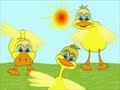 Patitos Cuacuacua - Los bebes que saben contar - Canciones infantiles