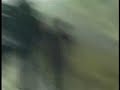 video: el policía que se esconde