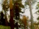 Metsapäevade näituse avamine Riigikogus Metsapäevade näituse avamine Riigikogus