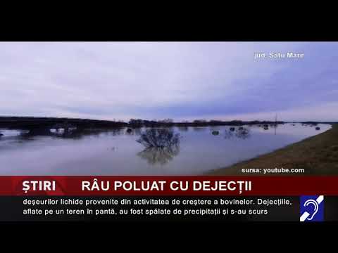 Râul Crasna, poluat cu dejecții