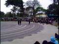 Los muertos peruanos en los años de la violencia - CVR