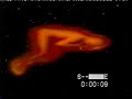 Embryo morphs into man