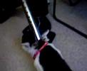 Yars video 2