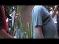videos de Gh4 Preview - Float On