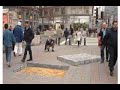 beever