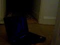 YouTube Scared my Cats