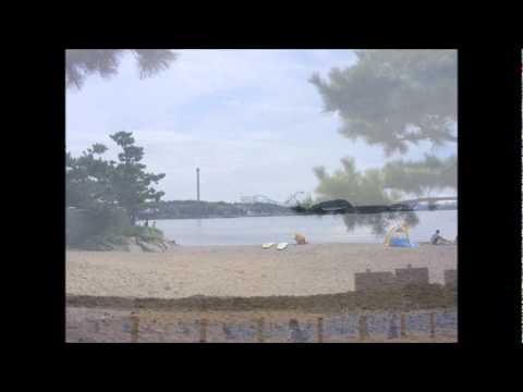 Video de Crack at Your Love de The Beach Boys