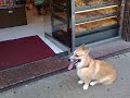 Waiting, Tak is very good Waiting, Tak is very good