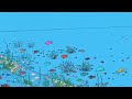 Video: Manly Beach Sydney Animated