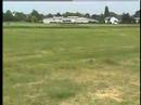 Rebis Heli Rebis Heli
