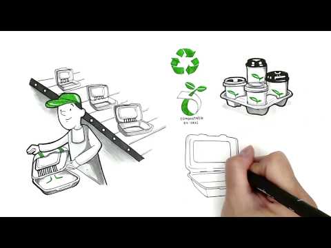 Green Century Enterprises: Environmentally Friendly Food Service Packaging