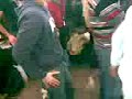 pararapapa parara!!!!ahahah taiz� 2007 gen�va ginevra