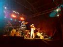 OliveTreeDance@V.N.Gaia