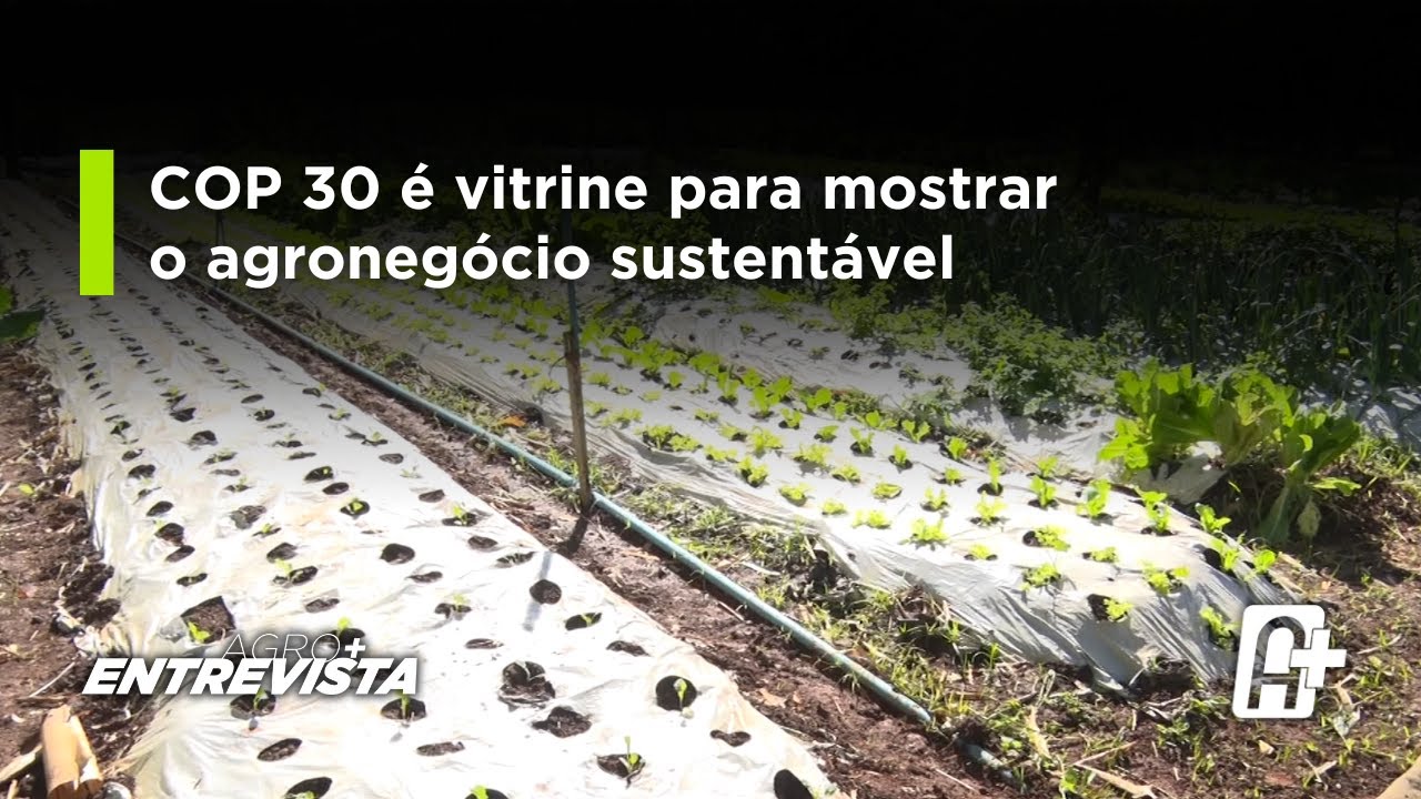 Securitização para os produtores gaúchos: novo modelo em análise