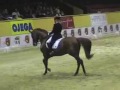 Buben GP Flyinge