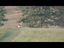 Ceilidh Cross-Country