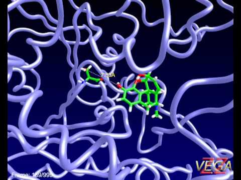 Human carboxyl esterase 1 (hCES1) complexed with morphine