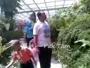 penang holiday in 1 day