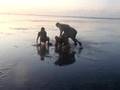 Wadlopen VT4 (3)