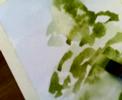 Watercolor - Mervat Al Ameer 1