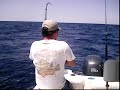 Red Snapper Fishing, NE Florida