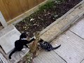 See video