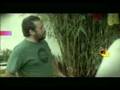 videos de yofo