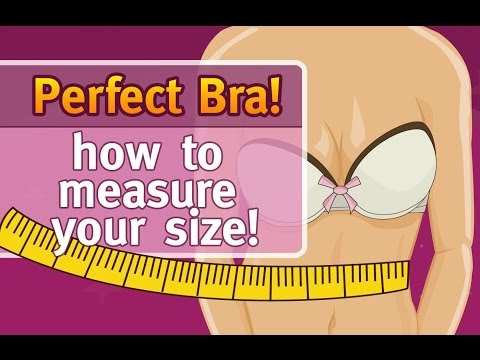 how to know ur bra size