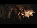 Orcs! - Videos - 6