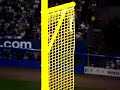 Squirrel On Yankee Stadium Foul Pole!!!