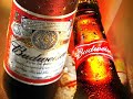 The real tribute to beer