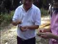 Oil Palm Part I