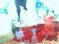 ذبح أضحية العيد لسنة 2007