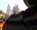 Drive By Shooting