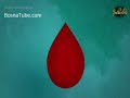 Karadayi Ep03 Sa Prevodom
