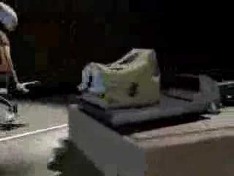 Rat singing to cheese