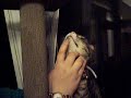 Gizmo the Opera Star