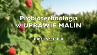 ProBiotechnologia w uprawie malin - Piotr Szatanik