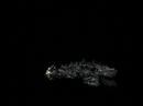 Add Video to QuickList
 


End of Days DVD featurette - Visual Effects - 