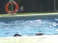 maca y sandra piscina 2