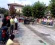 Gran desafío de arrastre. El burro contra 6 forzudos (2 / 3)