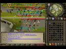 Runescape Ruined Fally Riot W66 Runescape Ruined Fally Riot W66