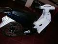 videos de Biz c 100 2003