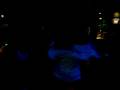 videos de bombordo com GLAUCO BAH