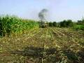 videos de MOV00375.AVI