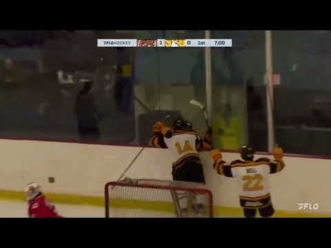 Soo Eagles vs. Blind River Beavers 2/21/2025