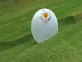 Zorb - David