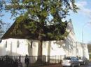 Stellenbosch Travel & Tours Photo Album Part 41